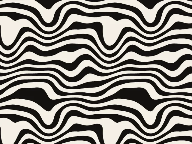 Black and cream zebra stripes bending like a stretched coat