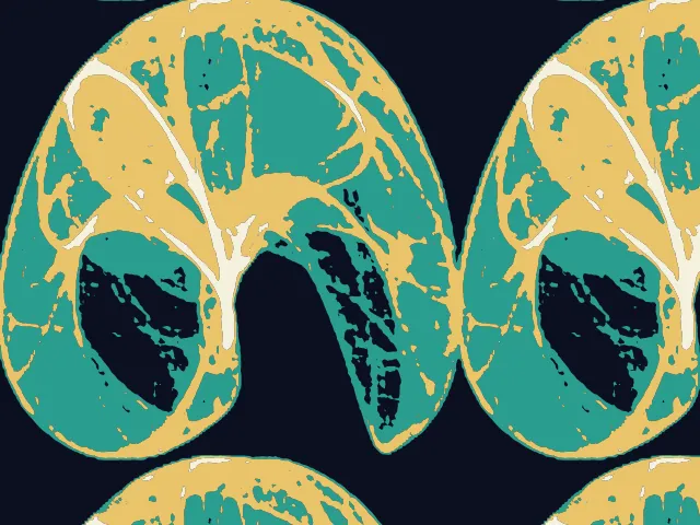 A rounded teal and gold shape with fine pale filaments inside it, repeated on a very dark ground