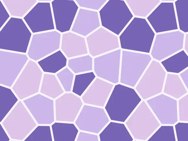 Chinese lattices