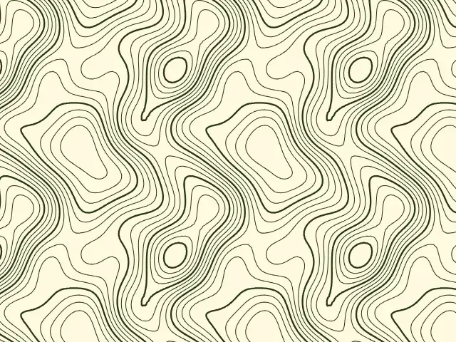 Fine dark contour lines on a cream background, like a topographic map