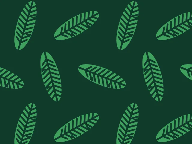 Light green banana leaves with parallel veins on a very dark green ground