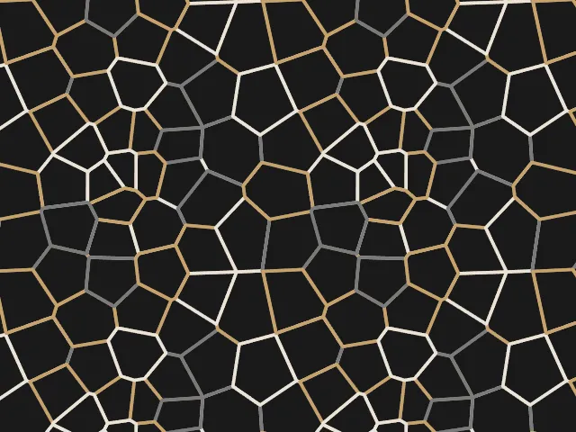Thin outlines of irregular cells on a dark background